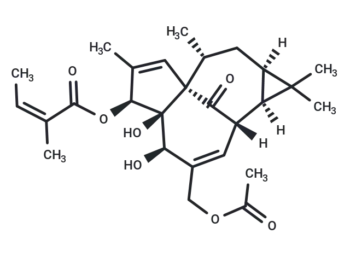 20-O-Acetylingenol-3-angelate