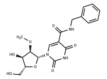 5-Benzylaminocarbony-2'-O-Me-uridine