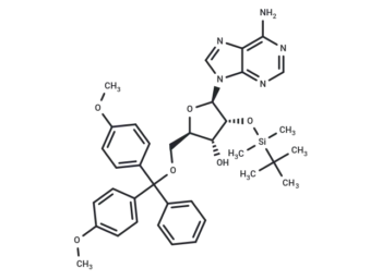 5'-O-(4,4'-Dimethoxytrityl)-2'-O-t-butyldimethylsilyl adenosine