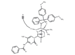 DMT-locMeC(bz) phosphoramidite