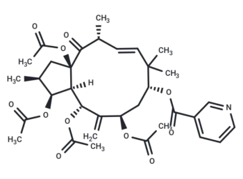 3,5,7,15-Tetraacetoxy-9-nicotinoyloxy-6(17),11-jatrophadien-14-one
