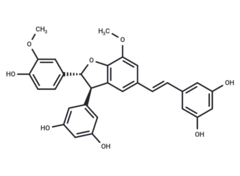 Shegansu B