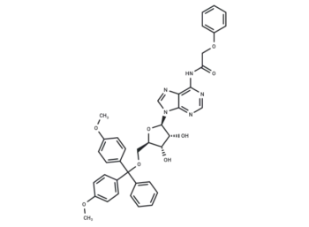 5'-O-(4,4'-Dimethoxytrityl)-N6-Phenoxyacetyl adenosine