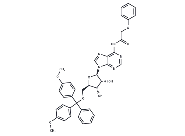 5'-O-(4 CgoaEWY7MnSEJN55AAAAAJ 3KNs144- Immunomart