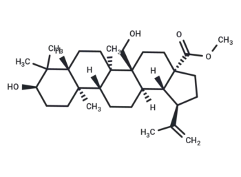 3,27-Dihydroxy-20(29)-lupen-28-oic acid methyl ester