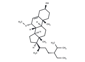 Schleicheol 2