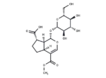 11-Methylforsythide