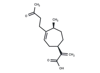 4-Oxobedfordiaic acid
