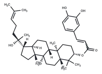 Dammarenediol II 3-O-caffeate