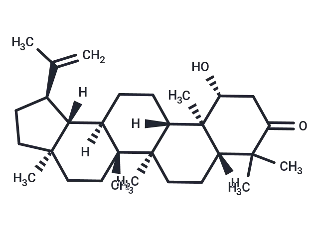 Glochidonol CgoaEWY7NUSEX5NSAAAAAGZwYec802- Immunomart