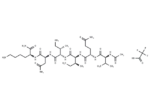 Tau protein (592-597)