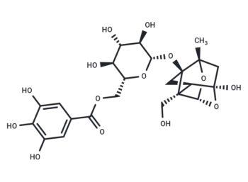 Debenzoylgalloylpaeoniflorin