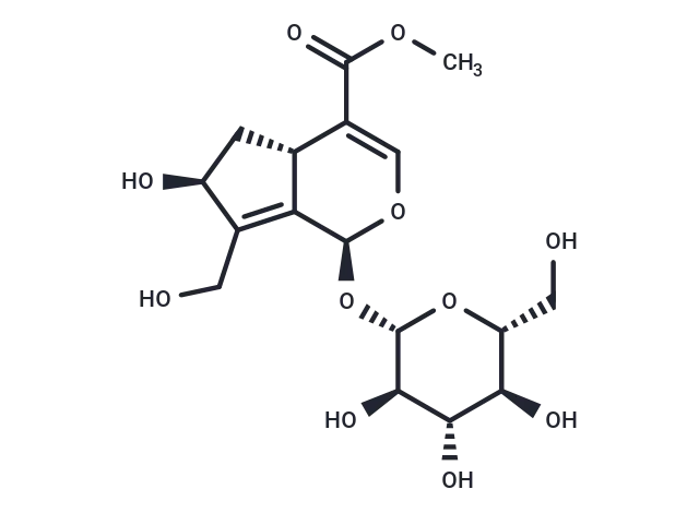 10-Hydroxy majoroside CgoaEWY7NY ETnqwAAAAAOdsA0M566- Immunomart