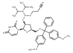 5′-O-DMTr-3′-deoxyuridine   2′-CED phosphoramidite
