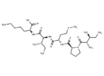 Bax inhibitor peptide