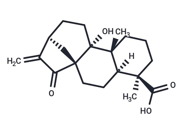 ent-9-Hydroxy-15-oxo-16-kauren-19-oic acid ent-9-Hydroxy-15-oxo-16-kauren-19-oic acid