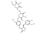 Matairesinol 4′-O-β-D-glucopyranoside