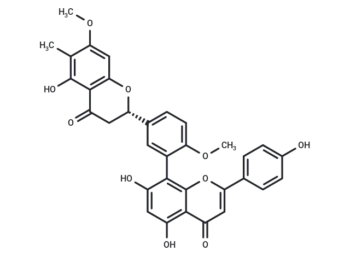 2,3-Dihydro-6-methylginkgetin