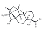 ent-11α