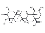 Actinidic acid