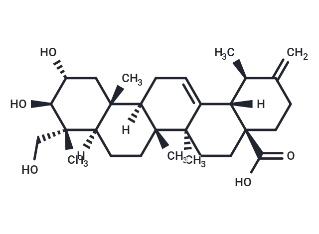 Actinidic acid