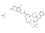 Trypsin