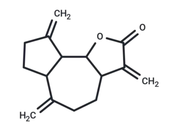 Dehydrocostuslactone