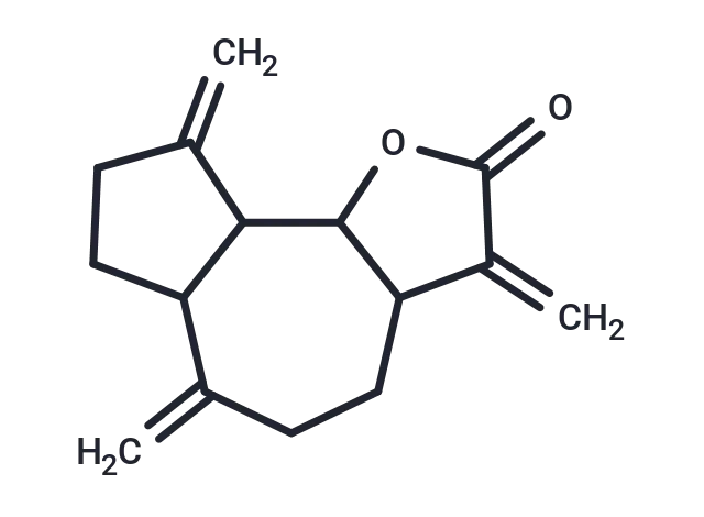 Dehydrocostuslactone Dehydrocostuslactone