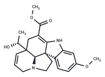 Vandrikidine
