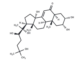 Rhapontisterone B
