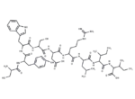signal transducer and activator of transcription 6 fragment