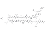 ANP(1-28) Acetate (human, porcine) 1 ANP(1-28) Acetate (human