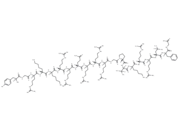 Cdk2/Cyclin Inhibitory Peptide I