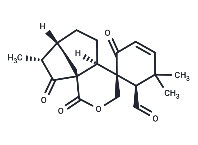 Epieriocalyxin A Epieriocalyxin A