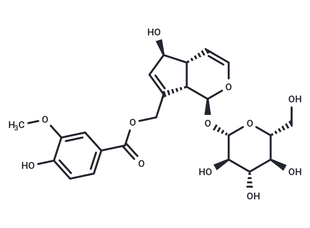 10-O-Vanilloylaucubin CgoaEWY7P iERbk4AAAAAJri22Y510- Immunomart