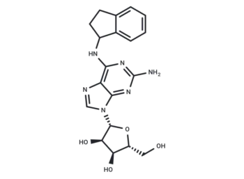 (R)-N-(2,3-Dihydro-1H-indenyl)guanosine