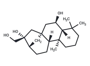 Corymbol