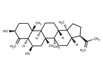 24-Norhopa-4(23),22(29)-diene-3Î²,6Î²-diol