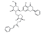 (2S)-Pinocembrin 7-O-[2”-O-(5”’-O-trans-cinnamoyl)-β-D-apiofuranosyl]-β-D-glucoside