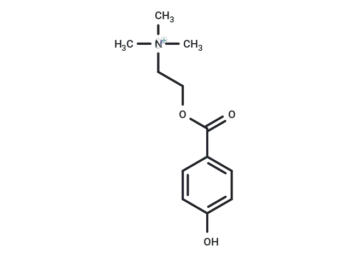 4-Hydroxybenzoyl choline
