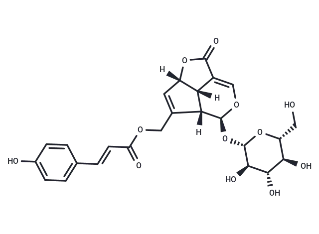 10-O-Coumaroyl-10-O-deacetylasperuloside - Immunomart