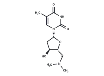 5'-Deoxy-5'-N,N-dimethylaminothymidine