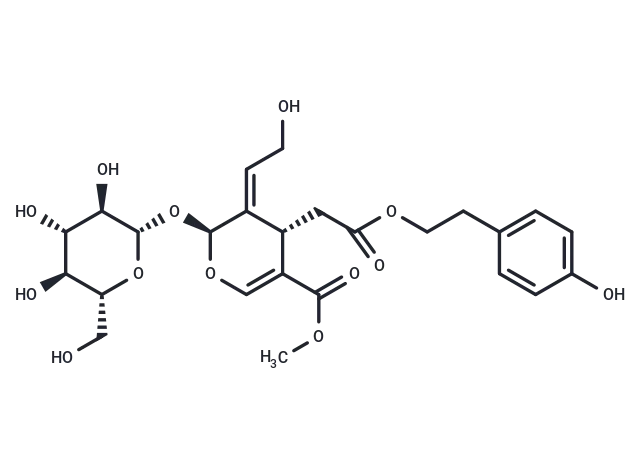 10-Hydroxyligstroside CgoaEWY7QXaEMELaAAAAAF4Upqk562- Immunomart