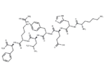 AF2 Neuropeptide