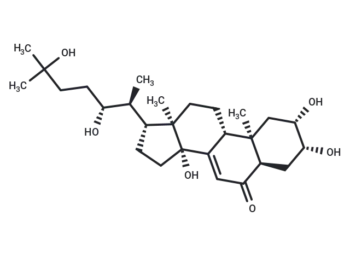 Ecdysone