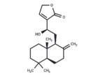 12-Hydroxy-8(17)