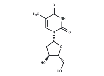 Thymidine