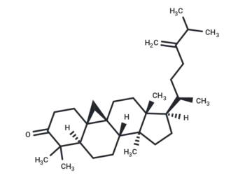 24-Methylenecycloartanone