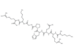 TRH Precursor Peptide