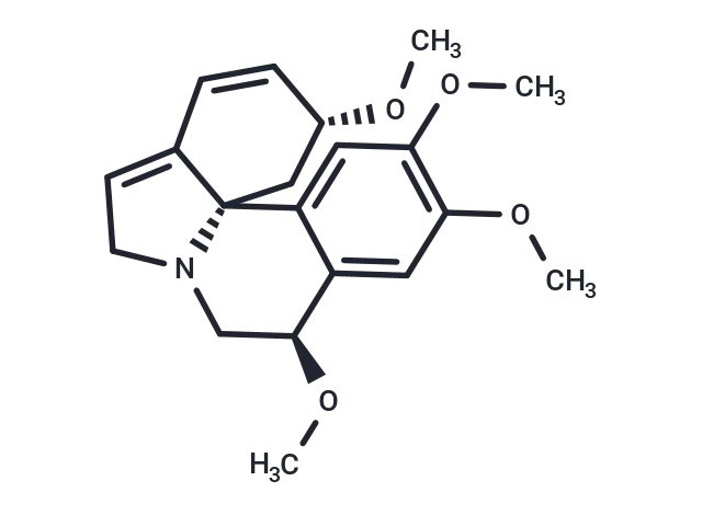 Erythristemine CgoaEWY7R8GEfM4wAAAAAMEy7us932- Immunomart